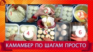 КАМАМБЕР дома пошагово все этапы до заворачивания * Уход по дням, этапы обрастания