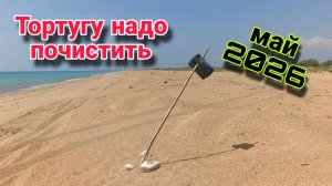 Анапа - Тортуга вся в мусоре и мертвых дельфинах /Сезон 2026