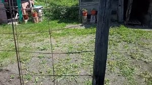 Ленивый день в деревне