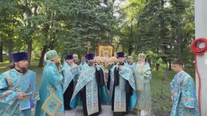 Встреча КРЕСТНОГО ХОДА из Жадовской Пустыни. Симбирск. Летопись Нафанаила. 23.05.26.