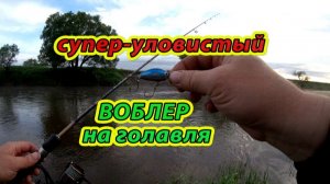 Ловля голавля. Голавль атакует 38 Поклевки голавля на спиннинг Классные поклевки голавля на спиннинг