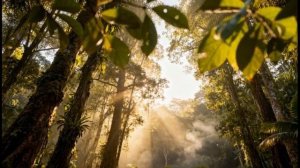 Ganja Roots Reggae Mix 2026 - Relaxing Dub, Chill Vibes & Spiritual Reggae