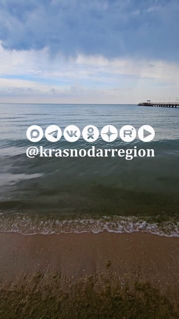 Камка в Чёрном море — это нитчатая зелёная водоросль кладофора бродячая
