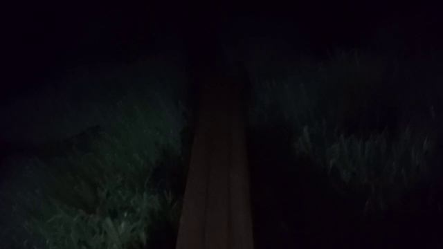 1000119105.mp4