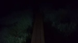 1000119105.mp4