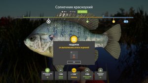 КВЕСТЫ КО ДНЮ РОЖДЕНИЯ, БЫСТРЫЕ ТОЧКИ ДЛЯ БЫСТРОГО ЗАКРЫТИЯ НАЧАЛЬНЫХ ЗАДАНОК В РУССКОЙ РЫБАЛКЕ 4