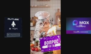 ЗАДАВАЙТЕ ВОПРОСЫ НА ВОПРОС-ОТВЕТ!!!