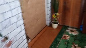 С УТРА НА КУХНЕ🥘 ДНЕМ НАВОДИЛА КРАСОТУ НА УЛИЦЕ🪴 ПОКУПОЧКИ👛