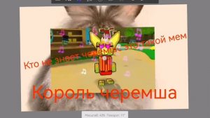 Мем черемша+король фенеков 🍀