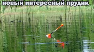 Рыбалка на новом дальнем пруду где говорили хороший карась ловился в том году! Проверим...+бонус