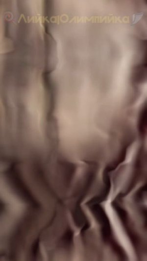 1000092392.mp4