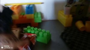 лошади Шляйх