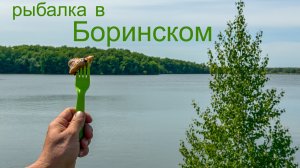 рыбалка в Боринском 2026