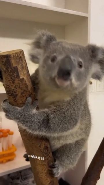 YouCut_20260522_201646977.mp4