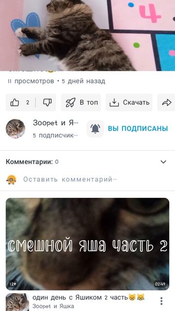 1000011530.mp4 смотреть онлайн
