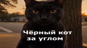 Чёрный кот за углом