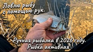 Ловлю рыбу с помощью рук. Ручная рыбалка в 2026 году. Рыбка активная