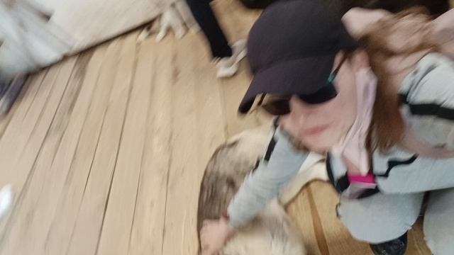 Хаски парк 🐕🦺 Роза Хутор 🌹 смотреть онлайн