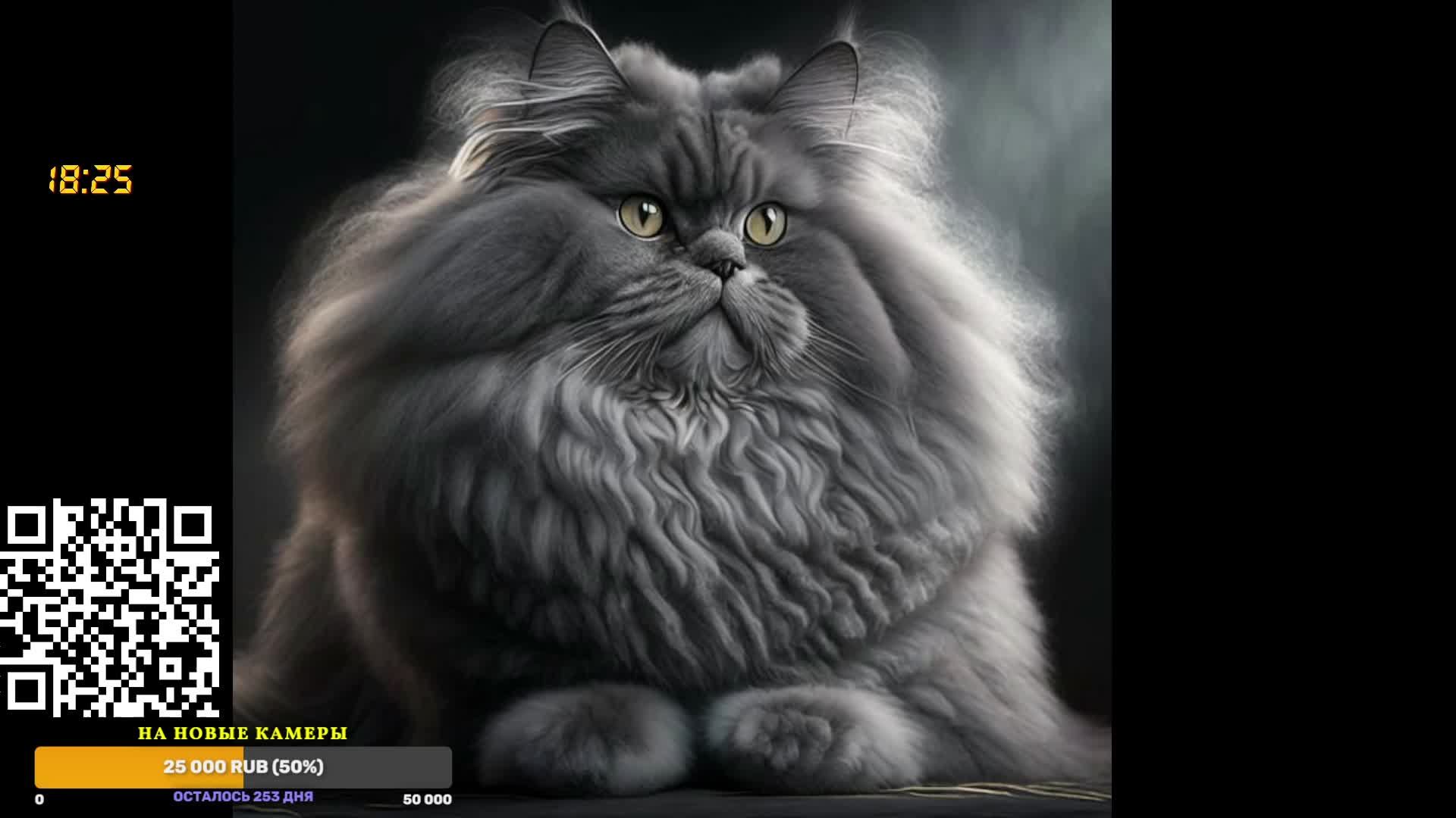 Unboxing. Demo. Bla-bla-bla. Chillout stream. смотреть онлайн