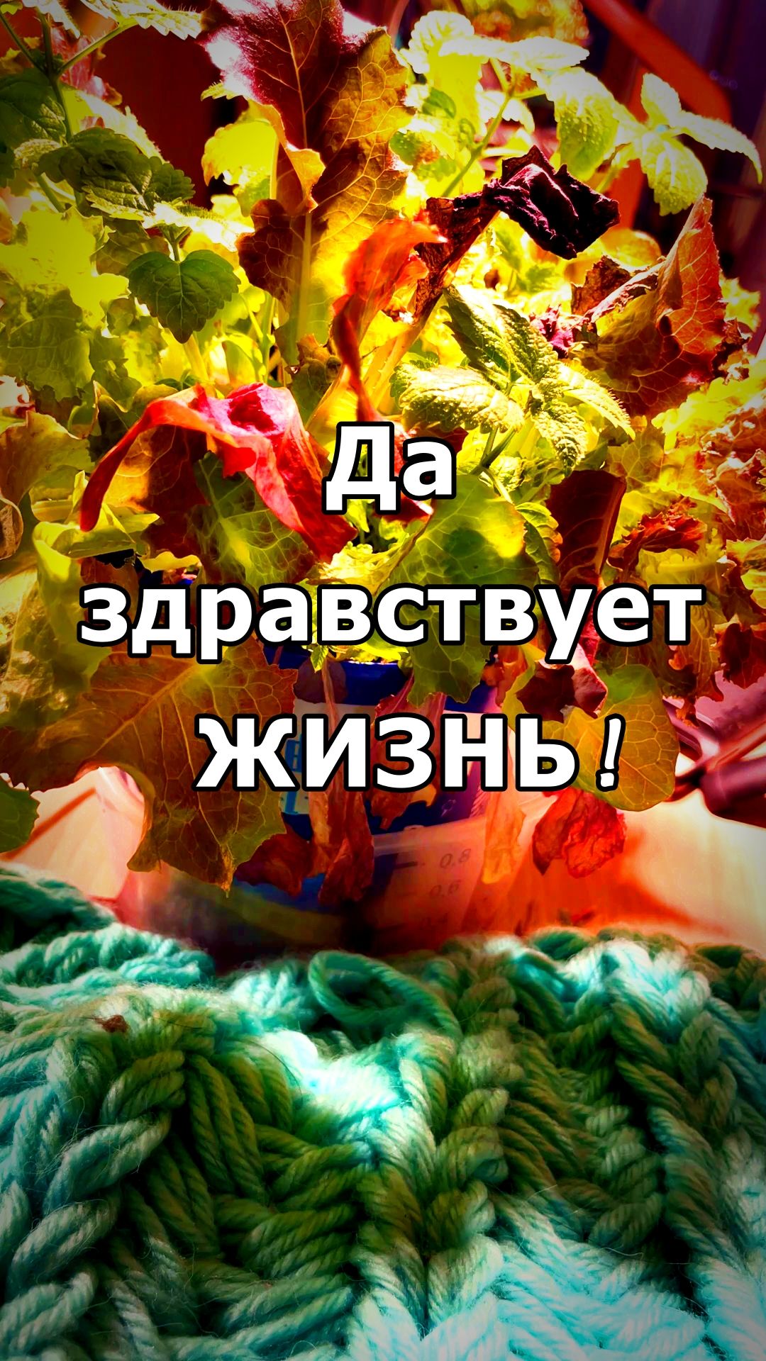 💧БЕЗ ВОДЫ И НЕ ТУДЫ И НЕ СЮДЫ💧 смотреть онлайн