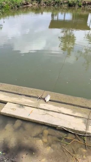Быть добру!