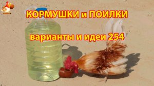 Кормушки и поилки для кур своими руками 254 🪚✂️ Пошаговая инструкция как сделать 🐔 🐓❣️