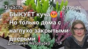 3 часть. БЫКУЕТ куча😱❗️Но только дома с наглухо закрытыми дверьми❗️Спару тоже КОНЕЦ❗️