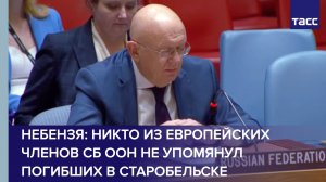 Небензя: никто из европейских членов СБ ООН не упомянул погибших в Старобельске