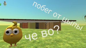 побег от цыпы