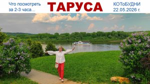 КОТоПутешествие выходного дня в Тарусу - что посмотреть за пару часов и поймать дзен, 22.05.2026 г.