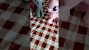 Встреча с одноклассниками у старлайт
