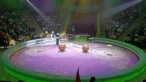 Киров 2026г.