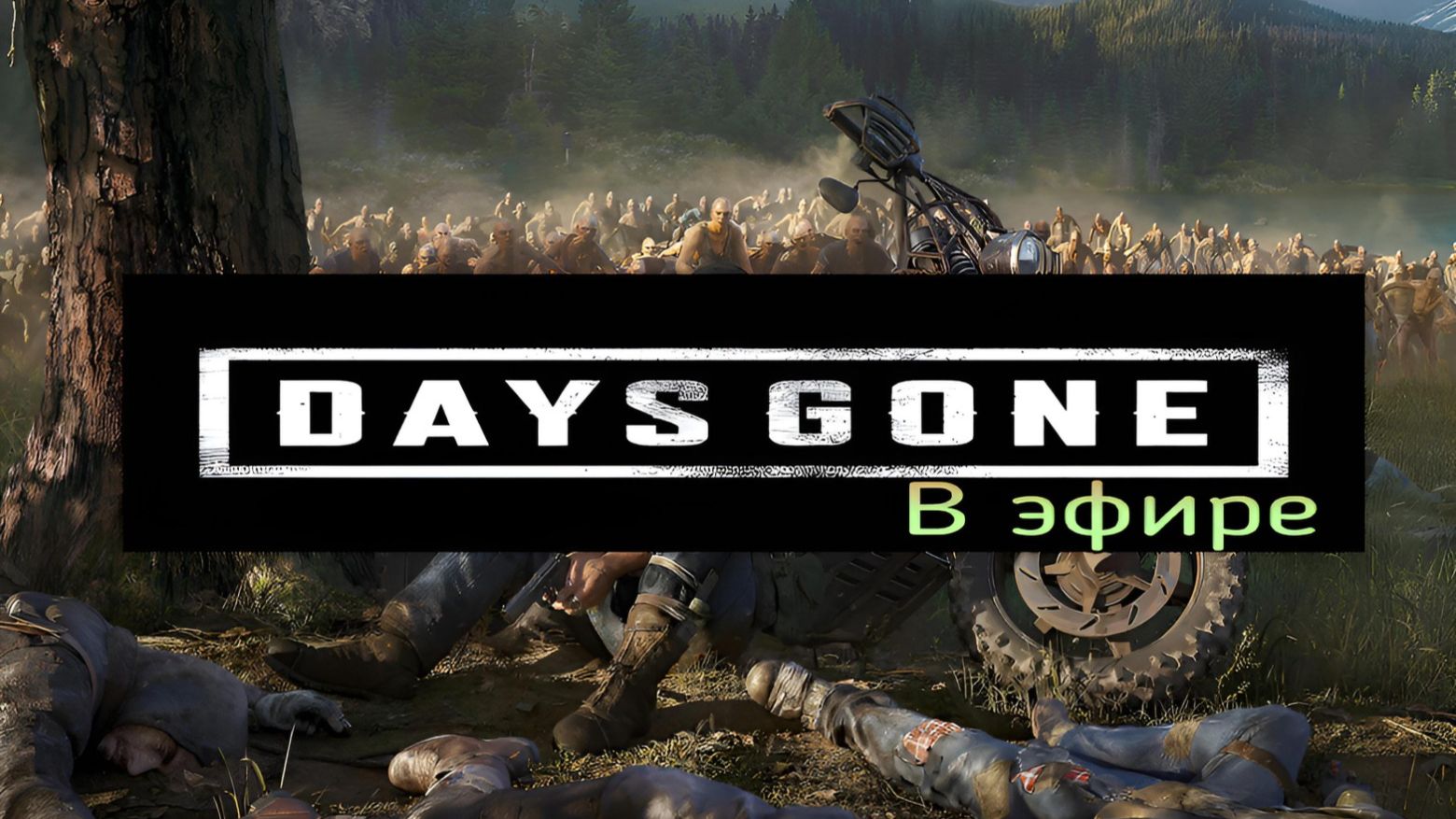 Days gone / прохождение, стрим 84!