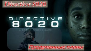 Directive 8020 Продуманные планы