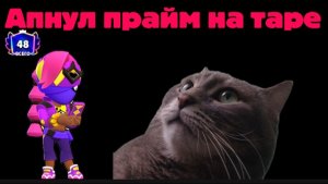 Апнул прайм на Таре. Идем к 100 праймам
