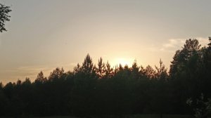 22-05-2026🌲просто природа 🌲
