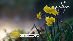 Лучшие цытаты 🔥 для жизни