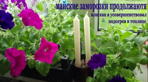 Модернизация обогрева теплицы