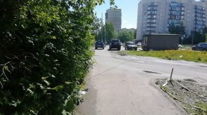 Зеленая стрекоза оказалась глупой бабой и была забанена
