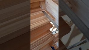 1000059224.mp4 (Собака наблюдает за устройством лестницы на 2-ой этаж в доме А-фрейм)