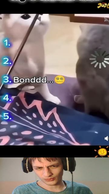 Ошибки Котов...