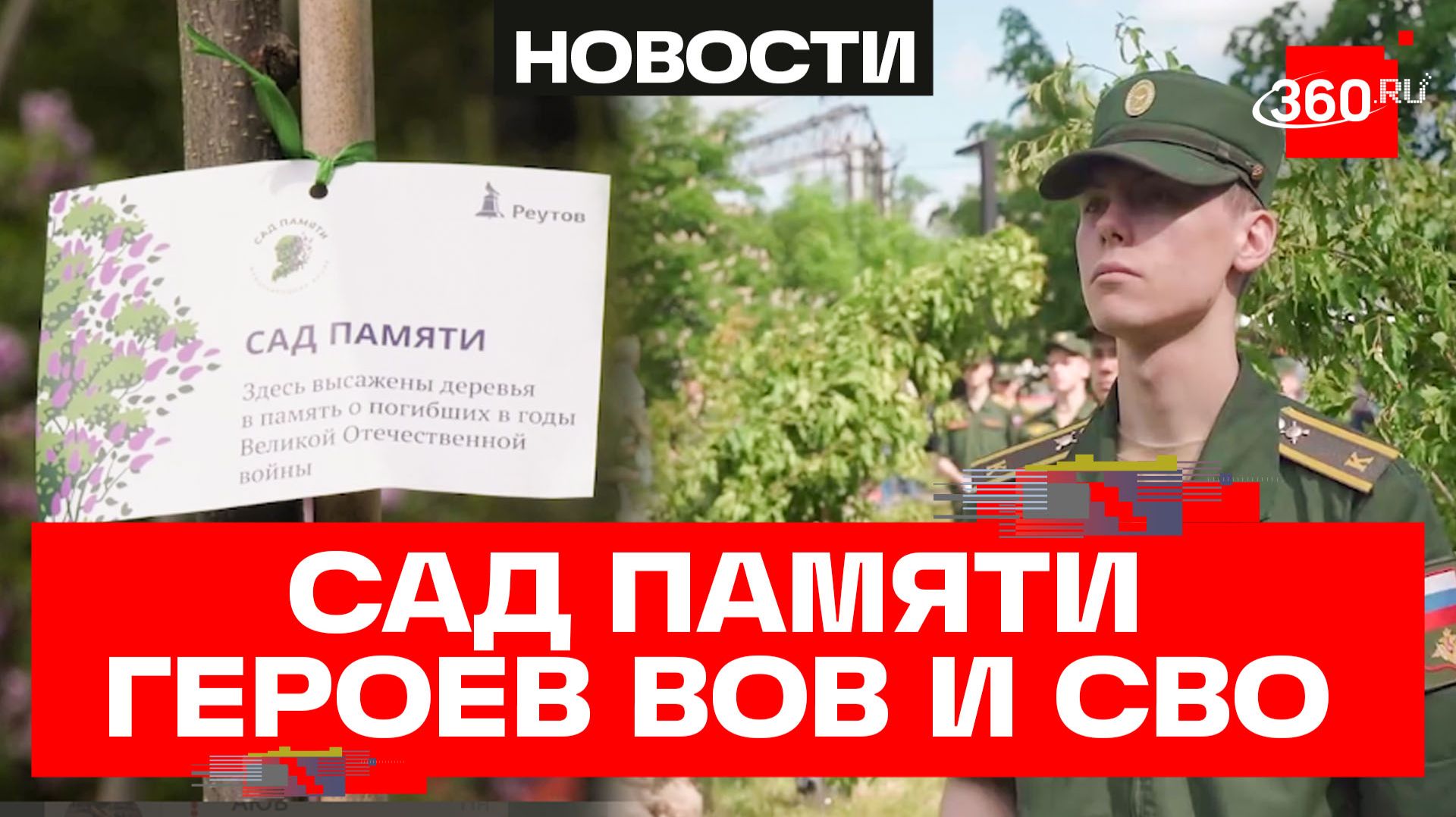 Сад памяти: деревья в честь героев ВОВ и СВО