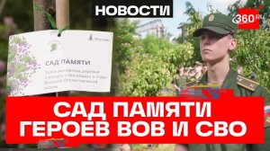 Сад памяти: деревья в честь героев ВОВ и СВО