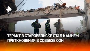 Баталии в Совбезе по Старобельску: европейцы в Совбезе ООН глумятся над жертвами удара ВСУ