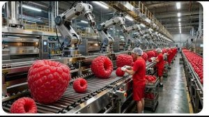 Внутри фабрики: массовое производство варенья из красной малины
