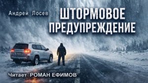 ШТОРМОВОЕ ПРЕДУПРЕЖДЕНИЕ (аудиокнига). ПОСТАПОКАЛИПСИС. Андрей Лосев. Читает Роман Ефимов.