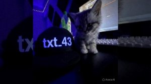 ава для txt_43