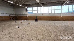 РО-2 Никитина Оксана и метис Кора Кубок Панды 2026 по ралли обидиенс онлайн