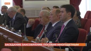 Заседание Законодательного Собрания РО: пособия многодетным