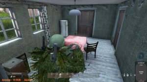 Dayz